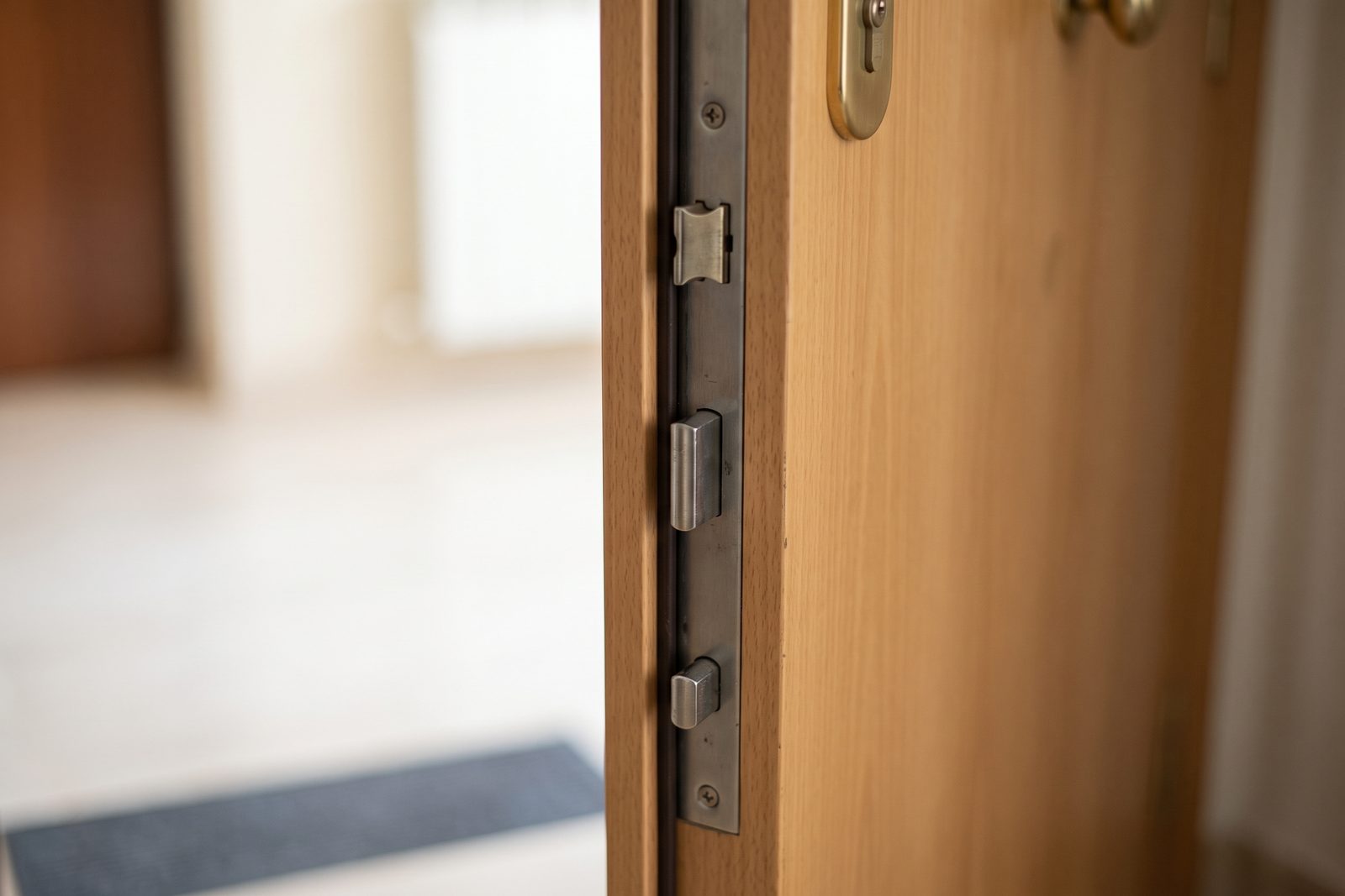 Canto de una puerta blindada con los puntos de cierre